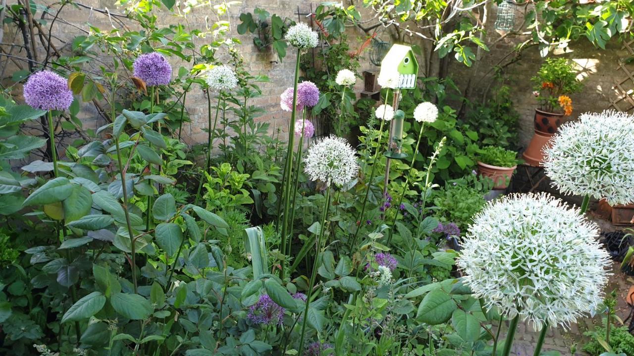 זיריקזיי B&B Monumentaal Logeren מראה חיצוני תמונה
